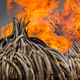Image: AP Images